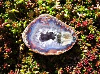 Mexican Thunderegg